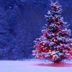 Christmas time